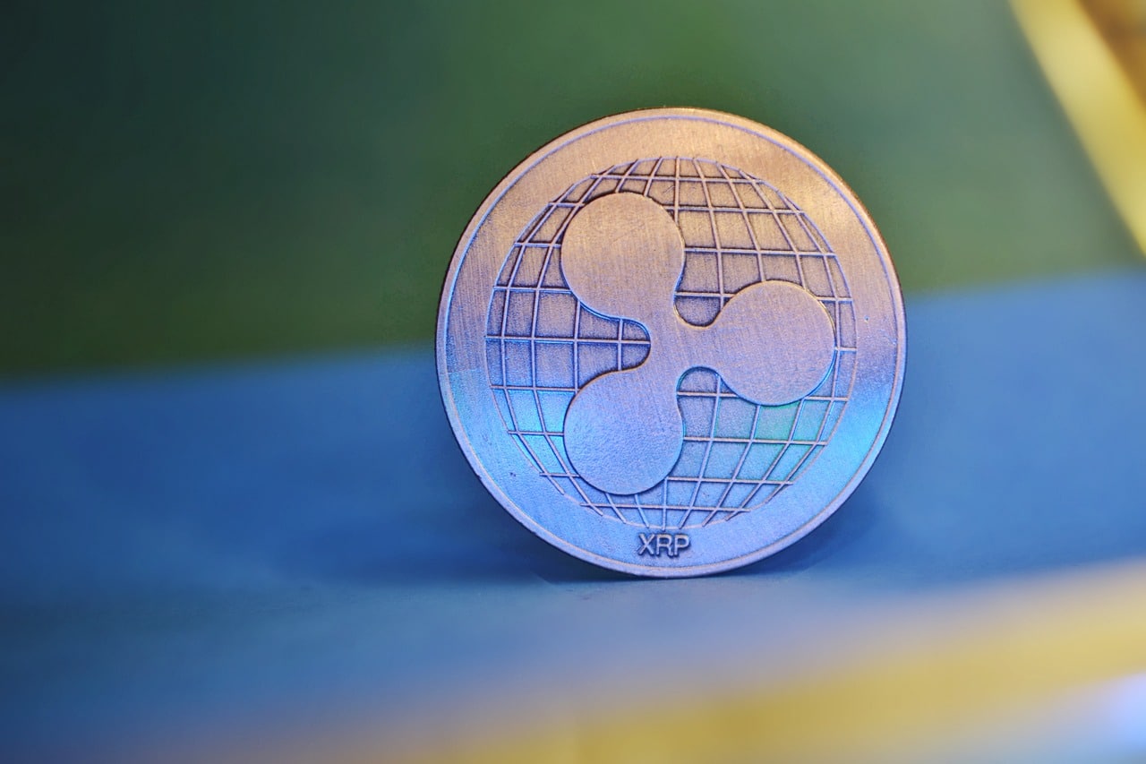 XRP Whales Went On A Buying Spree Since February, Data Reveals - Vimarsana News